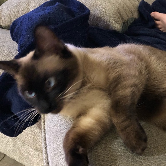 Meet your Posher, Bbrad - Picture 1 of 1